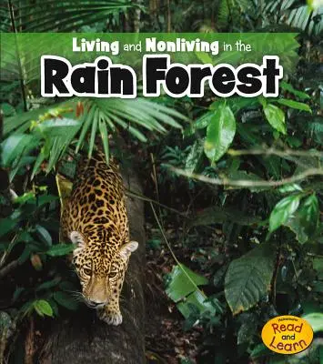 Élők és nem élők az esőerdőben - Living and Nonliving in the Rain Forest