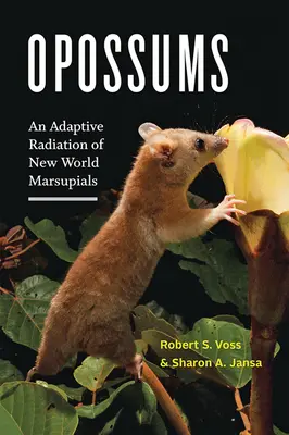 Oposszumok: Az újvilági erszényesek adaptív kisugárzása - Opossums: An Adaptive Radiation of New World Marsupials