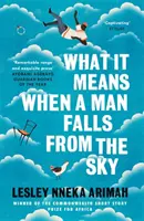 Mit jelent, ha egy ember lezuhan az égből - A Caine-díj 2019-es afrikai írói díjának nyertesétől - What It Means When A Man Falls From The Sky - From the Winner of the Caine Prize for African Writing 2019