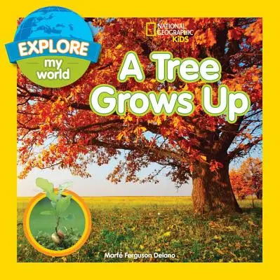 Fedezd fel a világomat! A Tree Grows Up - Explore My World: A Tree Grows Up