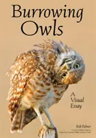 Az ásóbaglyok világa: A Photographic Essay Exploring Their Behaviors & Beauty - The World of Burrowing Owls: A Photographic Essay Exploring Their Behaviors & Beauty