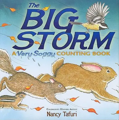 A nagy vihar: A Very Soggy Counting Book - The Big Storm: A Very Soggy Counting Book