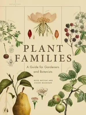 Növényi családok: Útmutató kertészek és botanikusok számára - Plant Families: A Guide for Gardeners and Botanists