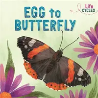 Életciklusok: Tojástól a pillangóig - Life Cycles: Egg to Butterfly