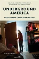 Földalatti Amerika: Narratives of Undocumented Lives (Dokumentumok nélküli életek elbeszélései) - Underground America: Narratives of Undocumented Lives