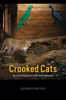 Görbe macskák: Állati találkozások az antropocénben - Crooked Cats: Beastly Encounters in the Anthropocene