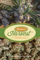 Marihuánaszüret: Hogyan maximalizáljuk a minőséget és a terméshozamot a kannabiszkertben? - Marijuana Harvest: How to Maximize Quality and Yield in Your Cannabis Garden