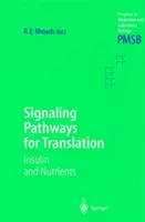 A fordítás jelátviteli útvonalai: Inzulin és tápanyagok - Signaling Pathways for Translation: Insulin and Nutrients