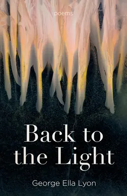 Vissza a fénybe: Poems - Back to the Light: Poems