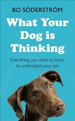 Amit a kutyád gondol - What Your Dog Is Thinking