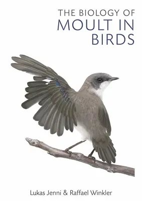 A madarak vedlése biológiája - The Biology of Moult in Birds