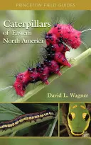 Észak-Amerika keleti részének hernyói: A Guide to Identification and Natural History - Caterpillars of Eastern North America: A Guide to Identification and Natural History