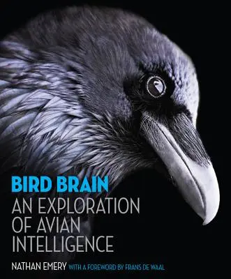 Madáragy: A madarak intelligenciájának feltárása - Bird Brain: An Exploration of Avian Intelligence