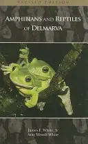 Delmarva kétéltűi és hüllői - Amphibians and Reptiles of Delmarva