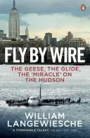 Fly By Wire - A libák, a siklás, a „csoda” a Hudsonon - Fly By Wire - The Geese, The Glide, The 'Miracle' on the Hudson