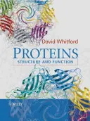 Fehérjék: szerkezet és működés - Proteins: Structure and Function