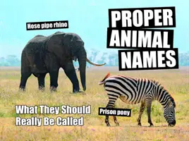 Helyes állatnevek - hogyan kellene őket hívni valójában - Proper Animal Names - What They Should Really Be Called