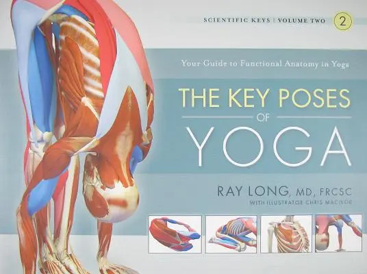 A jóga legfontosabb pózai - The Key Poses of Yoga