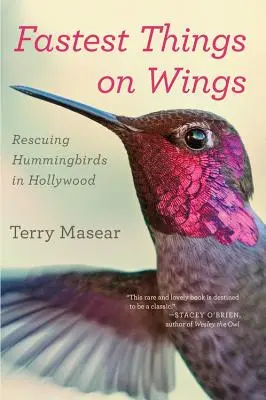 A leggyorsabb dolgok a szárnyakon: Kolibrik megmentése Hollywoodban - Fastest Things on Wings: Rescuing Hummingbirds in Hollywood