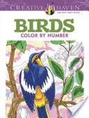 Creative Haven Birds Color by Number Coloring Book (Színezőkönyv) - Creative Haven Birds Color by Number Coloring Book