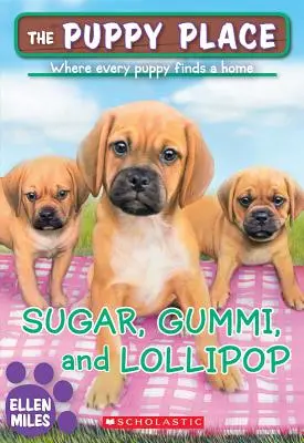 Cukor, gumi és nyalóka (A kiskutya helye #40), 40 - Sugar, Gummi and Lollipop (the Puppy Place #40), 40