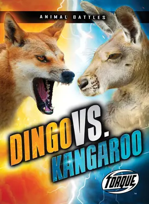 Dingo vs. Kenguru - Dingo vs. Kangaroo