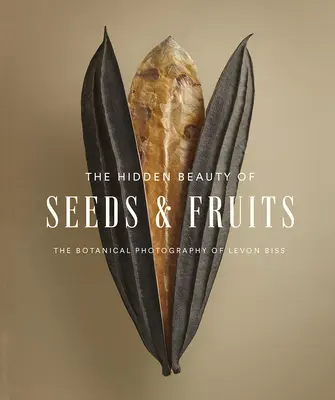 A magok és gyümölcsök rejtett szépsége: Levon Biss botanikai fotográfiái - The Hidden Beauty of Seeds & Fruits: The Botanical Photography of Levon Biss