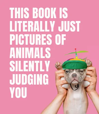 Ez a könyv szó szerint csak képek állatokról, amelyek némán ítélkeznek feletted - This Book Is Literally Just Pictures of Animals Silently Judging You