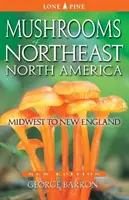 Az északkelet-észak-amerikai gombák: Középnyugattól Új-Angliáig - Mushrooms of Northeast North America: Midwest to New England