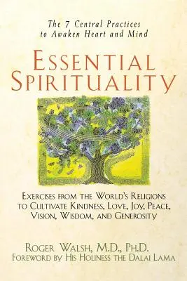 Esszenciális spiritualitás: A 7 központi gyakorlat a szív és az elme felébresztésére - Essential Spirituality: The 7 Central Practices to Awaken Heart and Mind