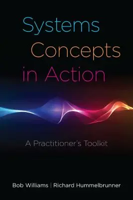 Rendszerkoncepciók a gyakorlatban: A Practitioner's Toolkit - Systems Concepts in Action: A Practitioner's Toolkit