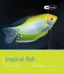 Trópusi halak: Útmutató a kiválasztáshoz, gondozáshoz és kompatibilitáshoz - Tropical Fish: Guide to Selection, Care and Compatibility