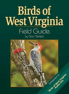 Nyugat-Virginia madarai terepikalauz - Birds of West Virginia Field Guide