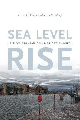 A tengerszint emelkedése: Lassú cunami Amerika partjainál - Sea Level Rise: A Slow Tsunami on America's Shores