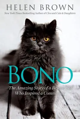 Bono: Egy mentőmacska csodálatos története, aki egy közösséget inspirált - Bono: The Amazing Story of a Rescue Cat Who Inspired a Community