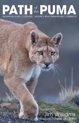 A puma útja: A hegyi oroszlán figyelemre méltó ellenállóképessége - Path of the Puma: The Remarkable Resilience of the Mountain Lion