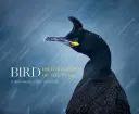 Az év madárfotósa - Bird Photographer of the Year