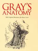 Gray's Anatomy: Slip-Case Edition (Szürke anatómia: csúsztatott kiadás) - Gray's Anatomy: Slip-Case Edition