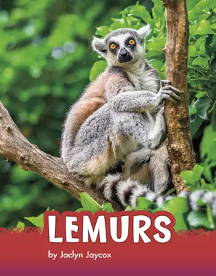 Lemúrok - Lemurs