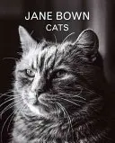 Jane Bown: Macskák - Jane Bown: Cats