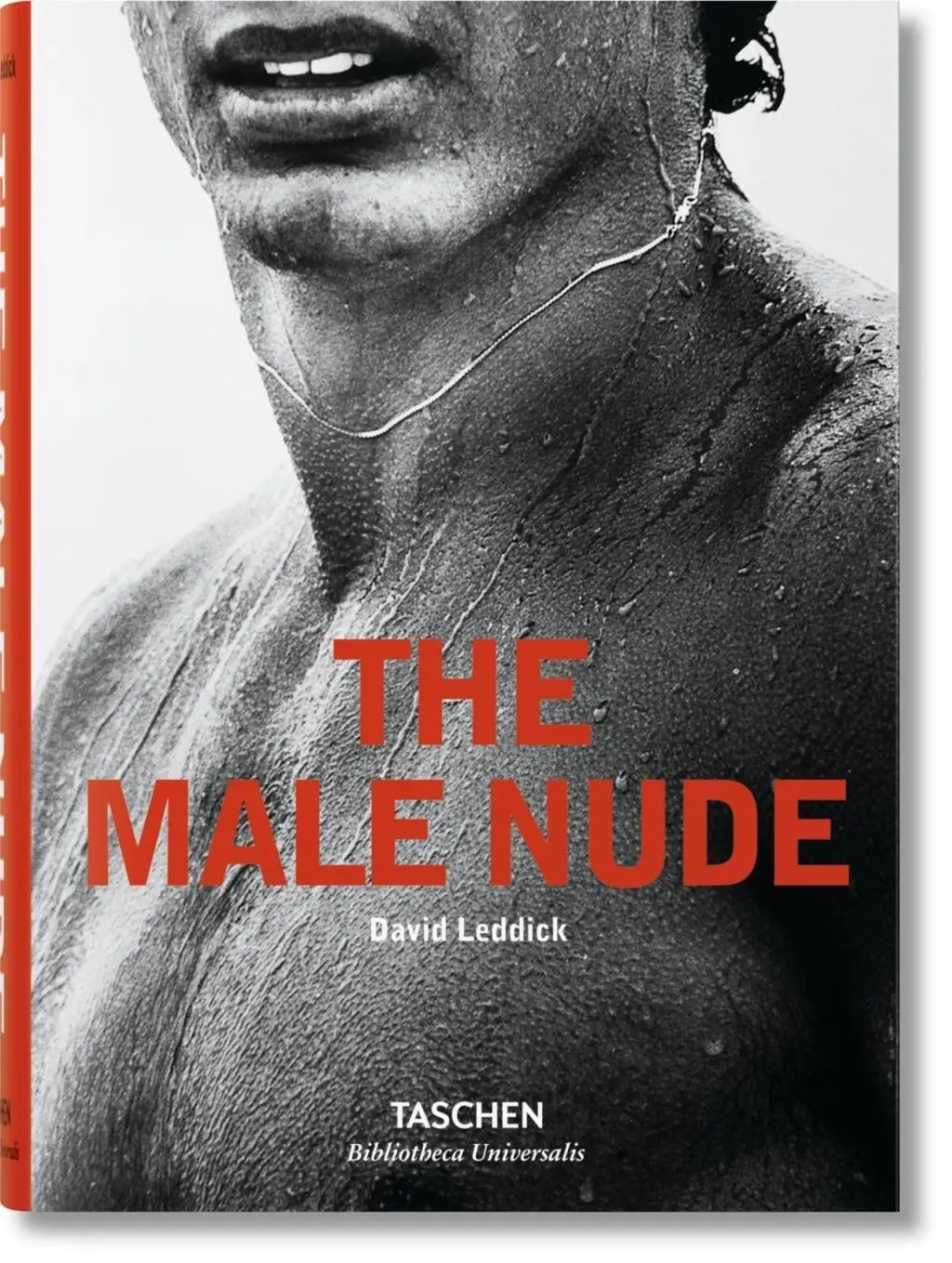 A férfiakt - The Male Nude