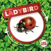 Ladybird