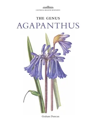 Agapanthus nemzetség - Genus Agapanthus