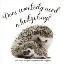 Szüksége van valakinek egy sövényölelésre? - Does Somebody Need a Hedgehug?