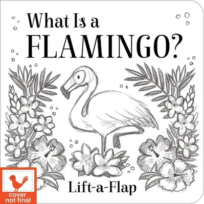 Mi a flamingó? - What Is a Flamingo?