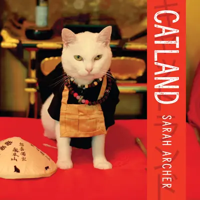 Catland: A macskakultúra lágy ereje Japánban - Catland: The Soft Power of Cat Culture in Japan