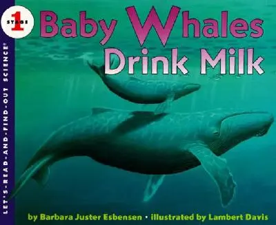 A bálnabébik tejet isznak - Baby Whales Drink Milk