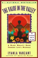 Az érték a völgyben: Egy fekete nő útmutatója az élet dilemmáihoz - The Value in the Valley: A Black Woman's Guide Through Life's Dilemmas