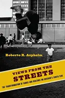 Nézetek az utcákról: A bandák és az erőszak átalakulása Chicago déli részén - Views from the Streets: The Transformation of Gangs and Violence on Chicago's South Side