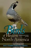 Észak-Amerika nyugati részének madarai: A Photographic Guide a Photographic Guide - Birds of Western North America: A Photographic Guide a Photographic Guide